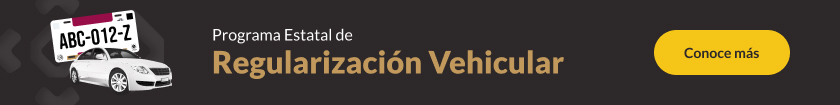 Programa Estatal de Regularización Vehicular