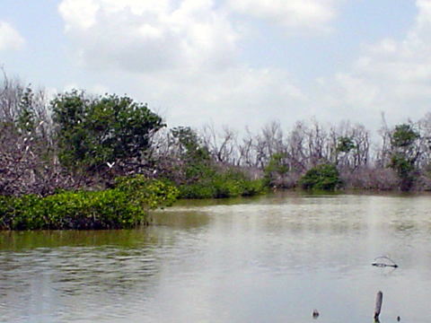 Laguna Feliz