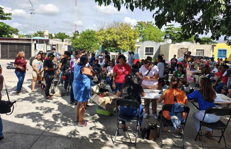 Gobierno de Yucatán impulsa control responsable de mascotas