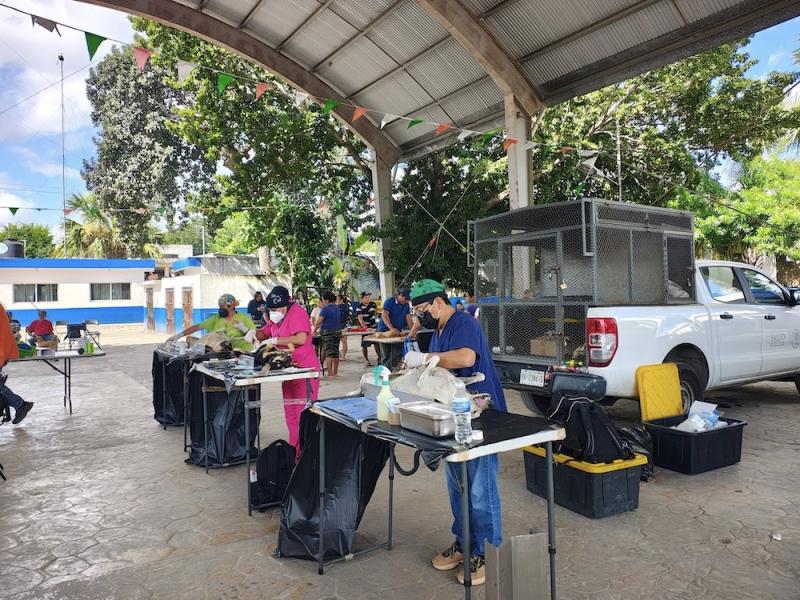 Gobierno de Yucatán impulsa control responsable de mascotas