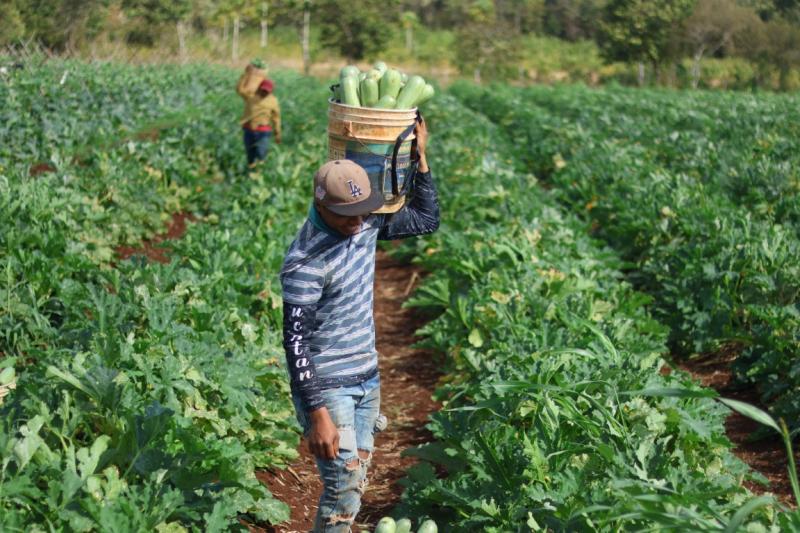 Caminos Renacimiento impulsa la movilidad productiva en Tizimín