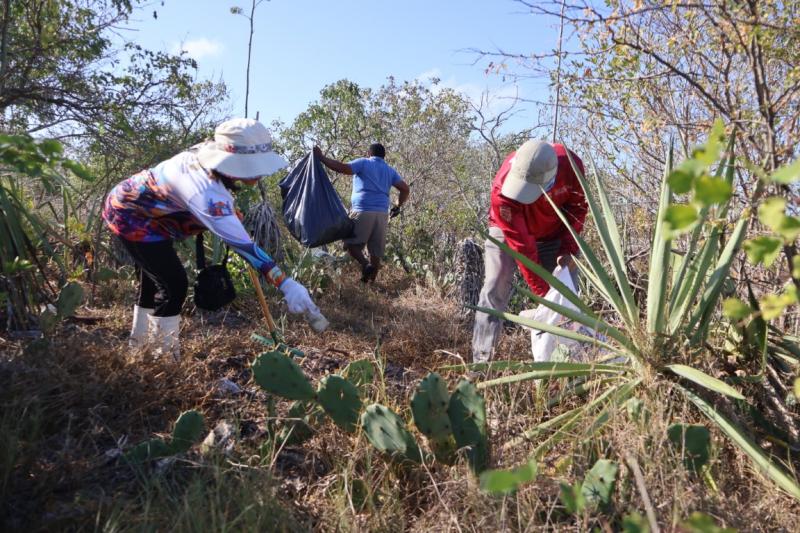 Yucatán y Campeche eliminan fronteras por la conservación