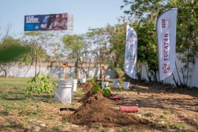 Inicia programa "Renacimiento Verde en tu Escuela" en el sur de Mérida