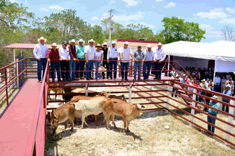 San Felipe fortalece su actividad pecuaria y recibe apoyo ante la sequía
