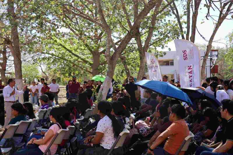 Reverdece la UTP con el programa "Renacimiento Verde en tu Escuela"