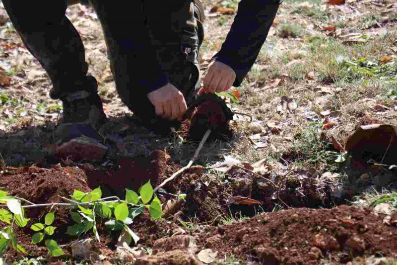 Reverdece la UTP con el programa "Renacimiento Verde en tu Escuela"