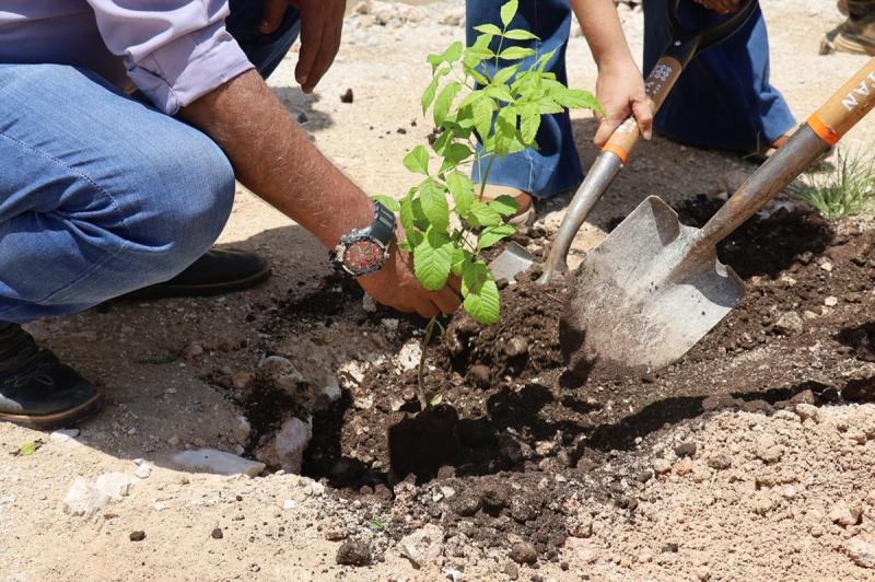 Renacimiento Verde promueve reforestación en Tepakán