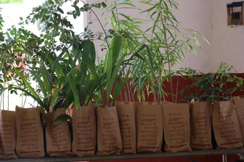Renacimiento Verde promueve reforestación en Tepakán