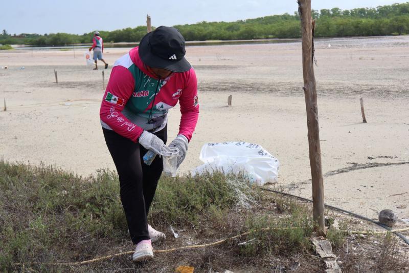 Mercado Circular y limpieza de playa promueven participación ciudadana en Celestún