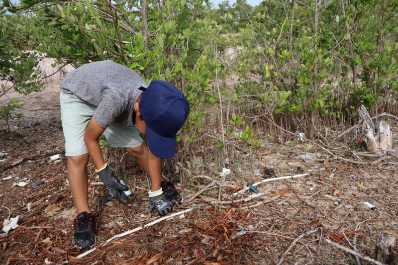Mercado Circular y limpieza de playa promueven participación ciudadana en Celestún