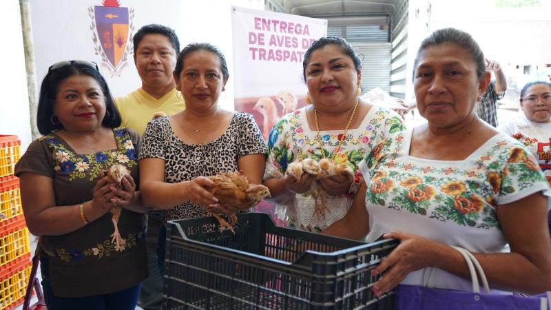 Gobierno del Estado asegura bienestar alimentario de familias yucatecas