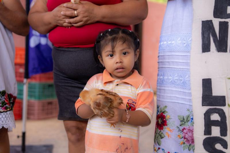 DIF Yucatán impulsa seguridad alimentaria de familias de Chemax