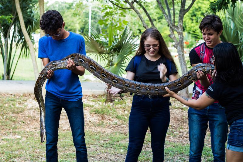 Se lleva a cabo la segunda Feria de Vida Silvestre de Yucatán