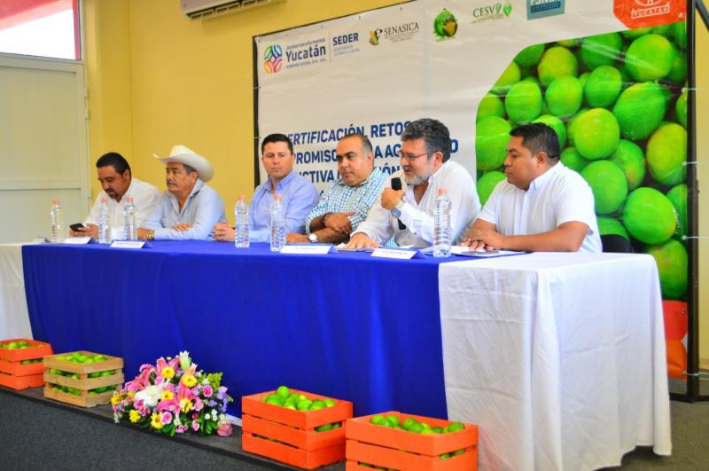 Yucatán, sede de foro para certificar huertos de limón persa