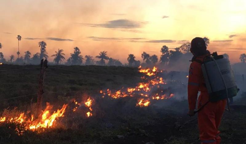 Con participación ciudadana, cerró sin novedades la temporada de incendios en Yucatán