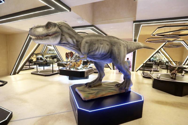 El Museo del Meteorito de Progreso abrirá sus puertas este martes 9 de  agosto