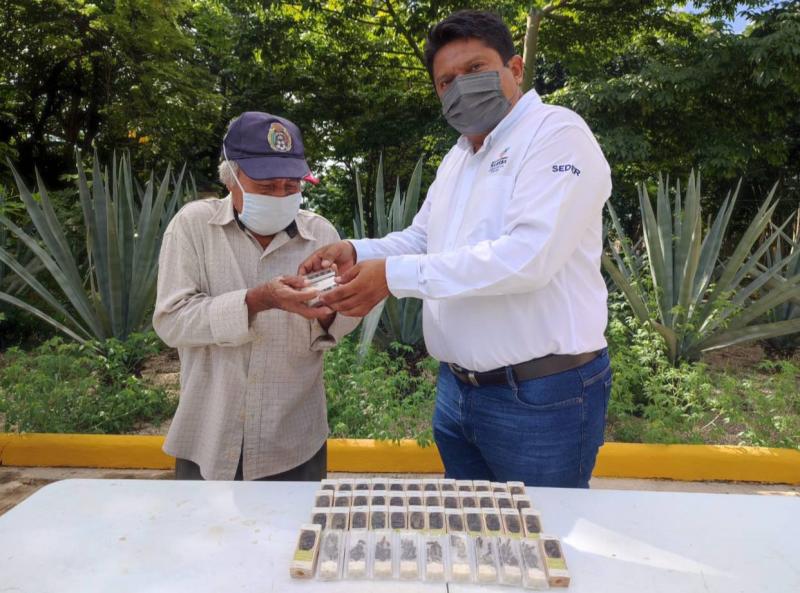 Respaldo del Gobernador Mauricio Vila Dosal llega a cada vez más apicultores para mejorar la calidad y su producción de miel