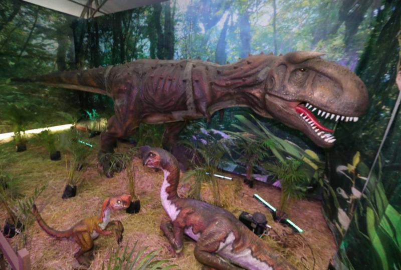 La Expo Dinosaurios llega a Mérida para concluir su recorrido por Yucatán