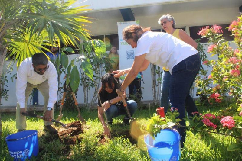 En equipo, estudiantes y gobierno logran un Yucatán más verde a través del programa "Arborizando tu Universidad"