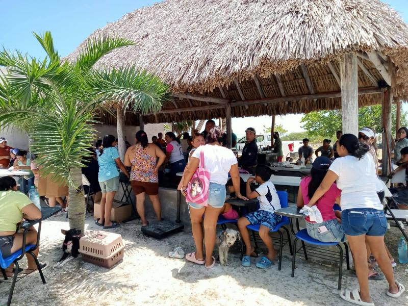 Como parte de las acciones para mejorar la calidad de vida en las comunidades y proteger a los animales de compañía, el Gobierno del Estado esterilizó de forma gratuita a más de 1,500 perros y gatos en 28 municipios de Yucatán, acciones que contribuyen a prevenir la sobrepoblación y reducir el riesg