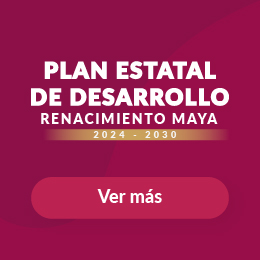 Plan Estatal de Desarrollo