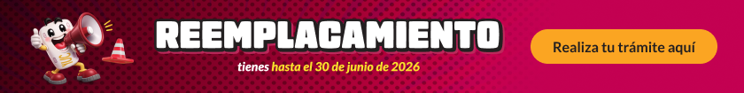 Reemplacamiento 2025