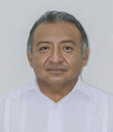 CARLOS ERMILO PINO DZIB