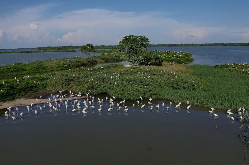 Ciencia ciudadana, clave para conservación de humedales