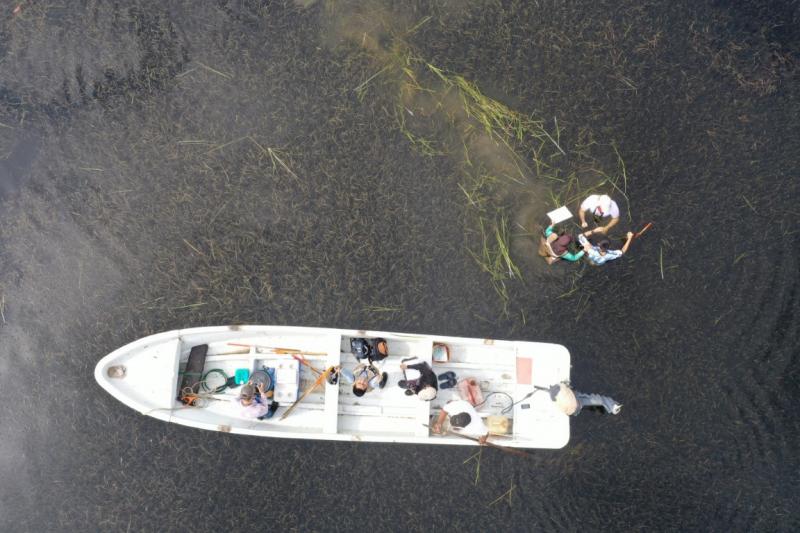 Ciencia ciudadana, clave para conservación de humedales