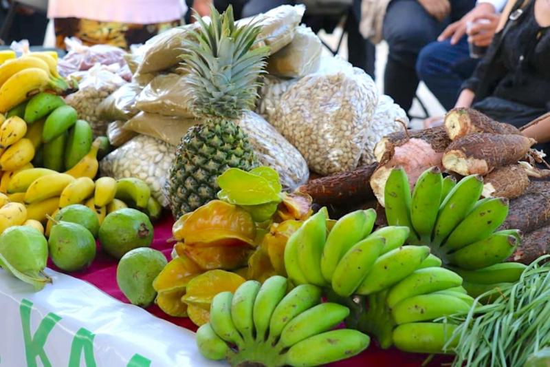 Regresa el Mercado Renacer del Campo Yucateco al Parque La Plancha