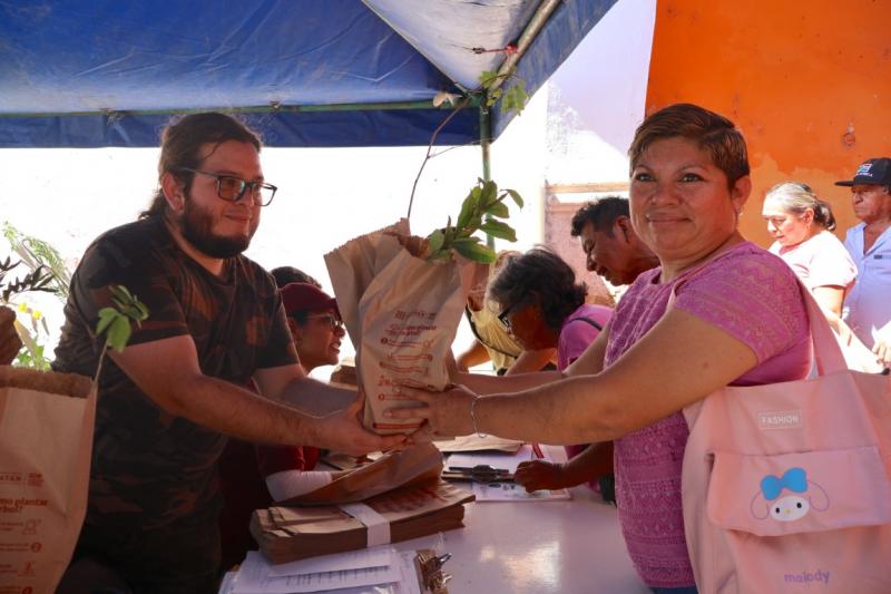 Impulsan producción apícola y restauración ambiental en Tekantó