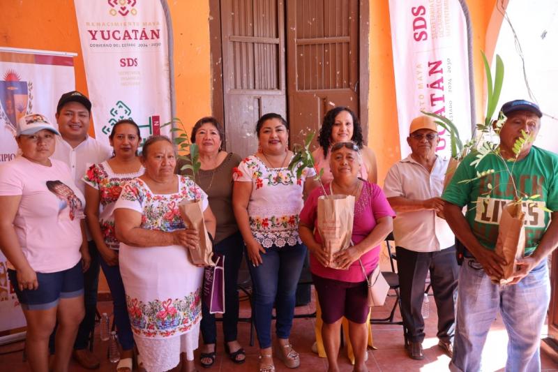 Impulsan producción apícola y restauración ambiental en Tekantó