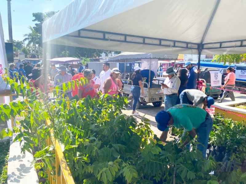 Entregan 5 mil plantas nativas en Hunucmá para impulsar biodiversidad y apicultura