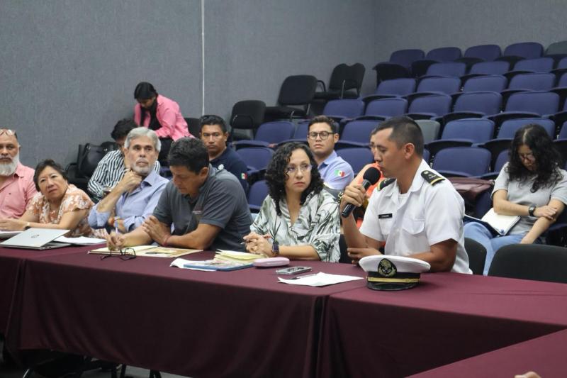 Inicia en Yucatán la temporada de anidación de tortugas marinas
