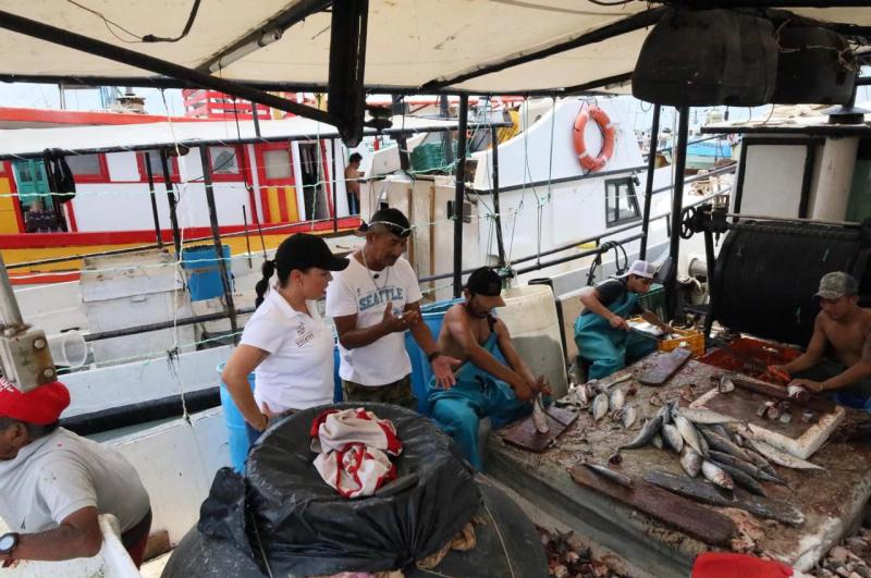 Comienza en Yucatán la temporada de captura de mero con llamado a la pesca responsable