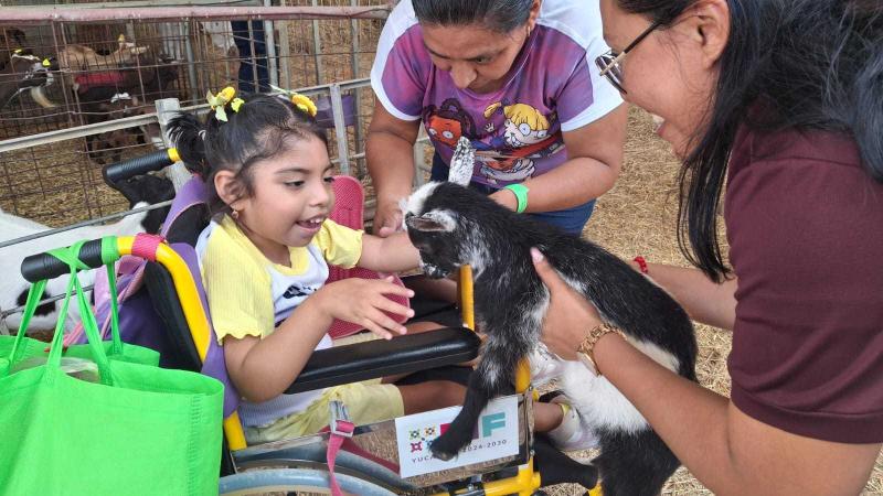 Personas con discapacidad disfrutan experiencia inclusiva en Ponylandia