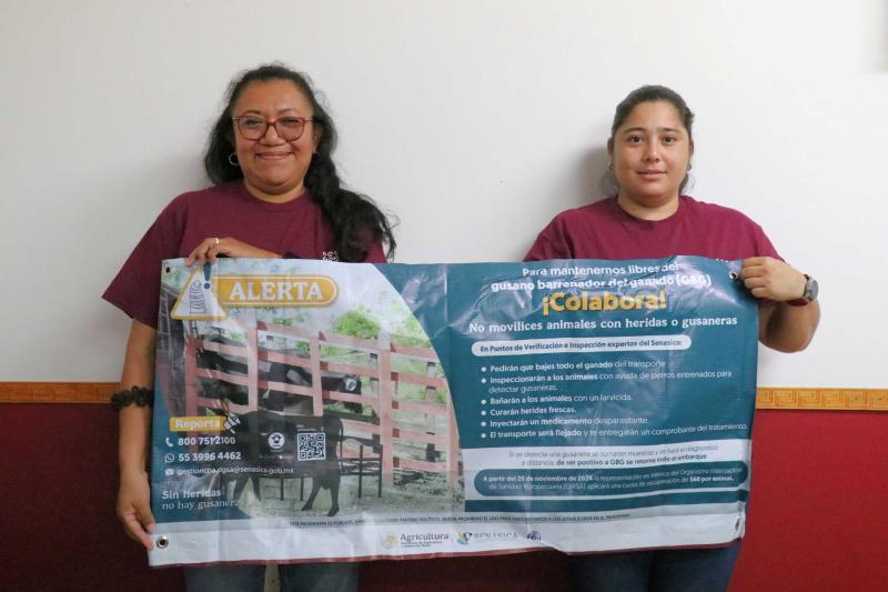 Refuerzan brigada contra el gusano barrenador en Yucatán