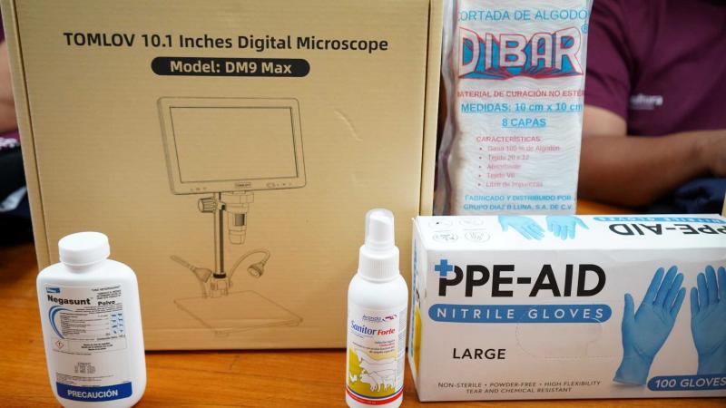 Refuerzan brigada contra el gusano barrenador en Yucatán