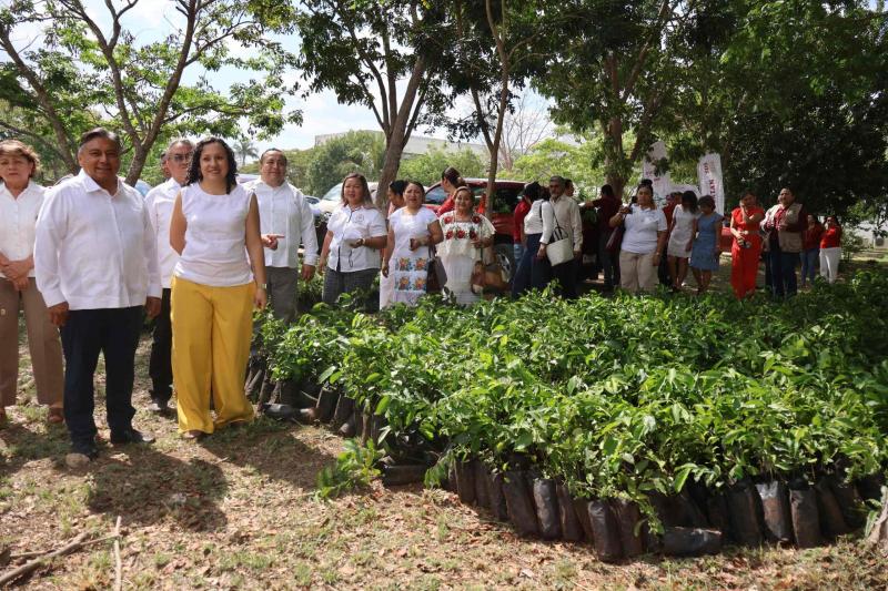 Impulsan estrategia de reforestación en escuelas de Yucatán