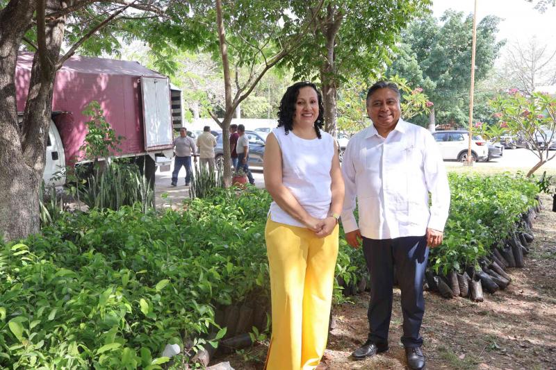 Impulsan estrategia de reforestación en escuelas de Yucatán