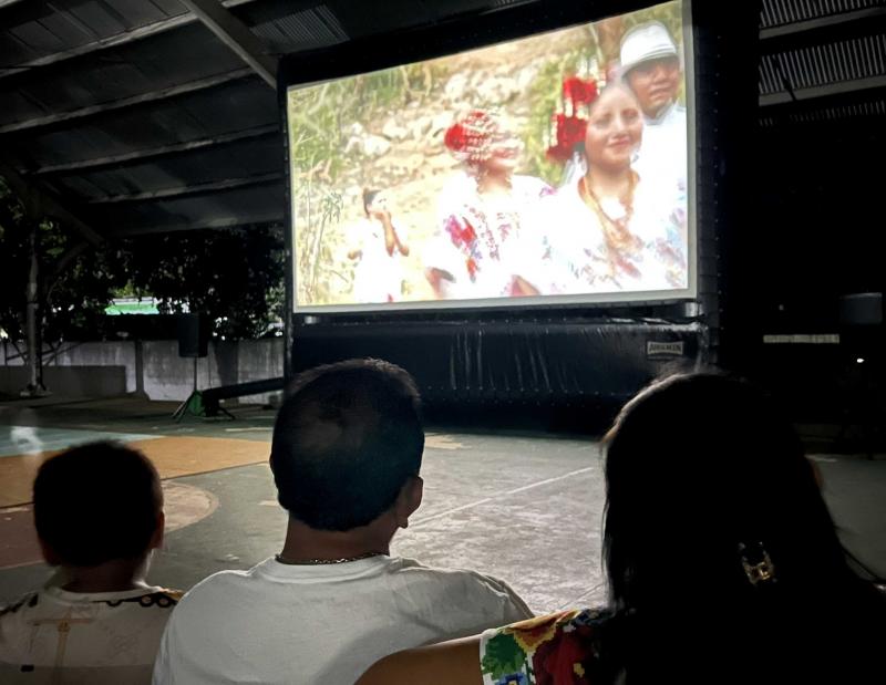 Proyectarán documental sobre flamencos en Mérida, Celestún y Sisal