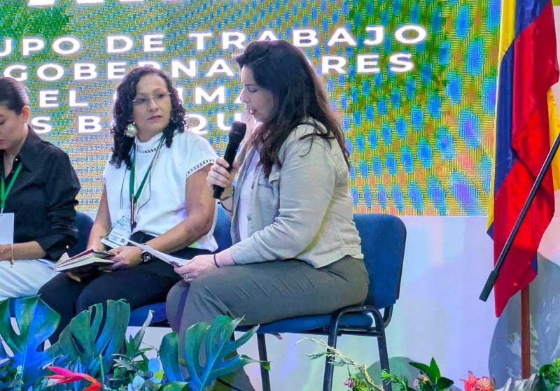 Yucatán impulsa la bioeconomía forestal y el financiamiento climático