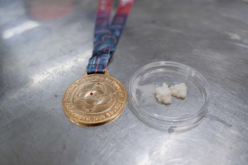 Innovación yucateca gana oro en encuentro científico internacional en Túnez