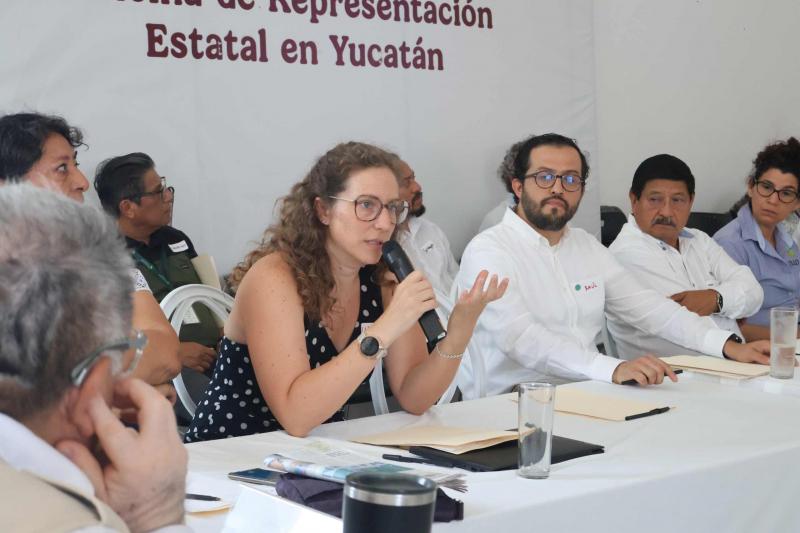 Yucatán encabeza acciones de conservación de la selva maya