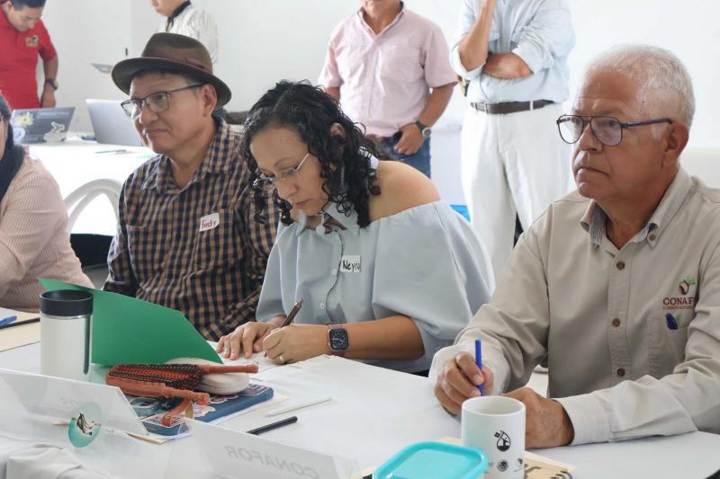Yucatán encabeza acciones de conservación de la selva maya