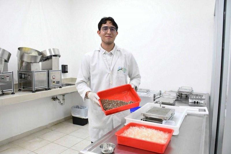 Yucatán destaca en estrategia nacional contra el dengue con solo nueve casos registrados