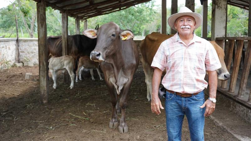 Programa Renacimiento Ganadero fortalece la producción pecuaria en Yucatán