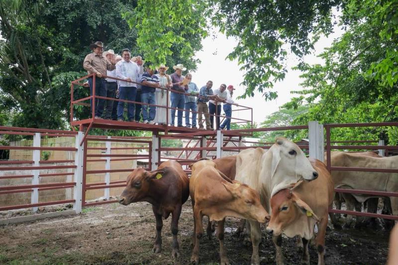 El Renacimiento Maya se siembra en el sur de Yucatán