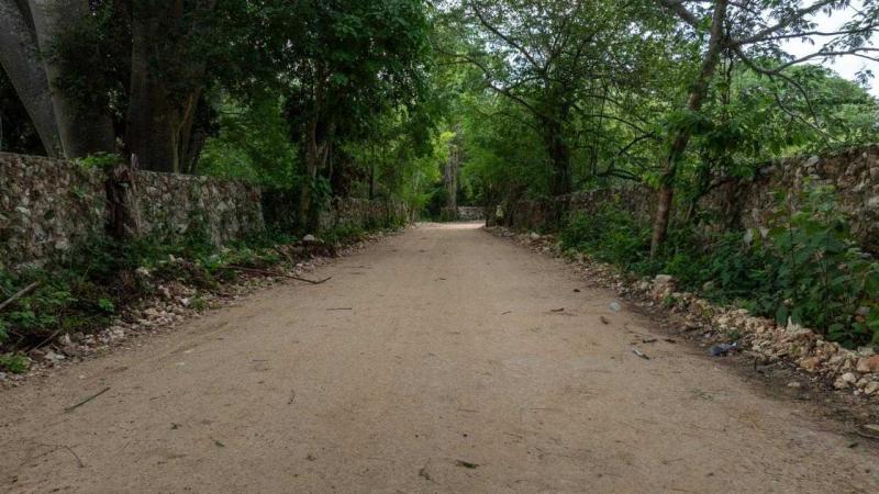 Renacimiento Maya fortalece cadena productiva con infraestructura rural