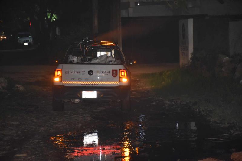Yucatán refuerza protección contra enfermedades transmitidas por vector